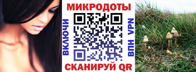 Псилоцибиновые грибы Cubensis  сайты даркнета формула  Домодедово  хочу  